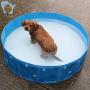 la funcosa Foldable Dog Puppy Bathtub