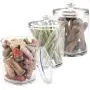 mDesign Tall Plastic Pet Storage Canister Jar with Lid - Holds Dog/Puppy Food, Treats, Toys, Medical, Dental and Grooming Supplies - Medium - 3 Pack - Clear mDesign Tall Plastic Pet Storage Canister Jar with Lid - Holds Dog/Puppy Food, Treats, Toys, Medical, Dental and Grooming Supplies - Medium - 3 Pack - Clear