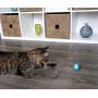 Petlinks Electronic Light Cat Toys