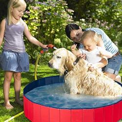 Pet Soft Foldable Dog Pool - Collapsible Pet Bath Pool Dog Bathing Tub Kiddie Swiming Pool for for Kids Dogs