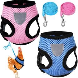 Weewooday 2 Pieces Adjustable Chicken Harness with Leash Soft Cat Harness and Leash Breathable Kittens Vest Harness Chicken Training Harness for Duck Goose Hen Cat Small Dog Training Walking