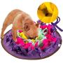 Green House Dog Snuffle Mat Pet Puzzle Toy Sniffing Training Pad Activity Blanket Feeding Mat for Dog Release Stress