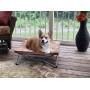 Carlson Pet Products Portable Pup Travel Pet Bed, Tan