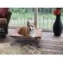 Carlson Pet Products Portable Pup Travel Pet Bed, Tan Carlson Pet Products Portable Pup Travel Pet Bed, Tan