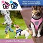 Weewooday 2 Pieces Adjustable Chicken Harness with Leash Soft Cat Harness and Leash Breathable Kittens Vest Harness Chicken Training Harness for Duck Goose Hen Cat Small Dog Training Walking