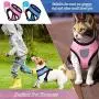 Weewooday 2 Pieces Adjustable Chicken Harness with Leash Soft Cat Harness and Leash Breathable Kittens Vest Harness Chicken Training Harness for Duck Goose Hen Cat Small Dog Training Walking Weewooday 2 Pieces Adjustable Chicken Harness with Leash Soft Cat Harness and Leash Breathable Kittens Vest Harness Chicken Training Harness for Duck Goose Hen Cat Small Dog Training Walking