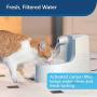 PetSafe Drinkwell Mini Pet Fountain for Cats and Small Dogs, 40 oz Capacity Water Dispenser with Filter Included, PWW00-14402