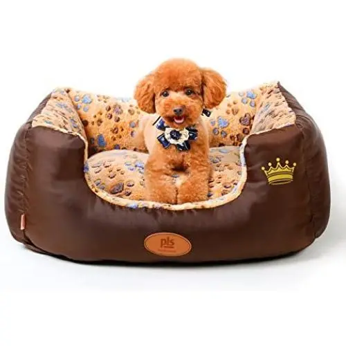 PLS Birdsong SweetSpot Bolster Dog Bed with Pillow, Extra Plush, Completely Removable Cover with Zipper