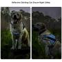 No Pull Dog Harness with Strong Handle Adjustable Emotional Support Dog Vest Harness Reflective Dog Halter for Outdoor Activities Easy On and Off Dog Harness for Small to Large Dogs
