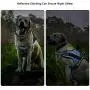 No Pull Dog Harness with Strong Handle Adjustable Emotional Support Dog Vest Harness Reflective Dog Halter for Outdoor Activities Easy On and Off Dog Harness for Small to Large Dogs No Pull Dog Harness with Strong Handle Adjustable Emotional Support Dog Vest Harness Reflective Dog Halter for Outdoor Activities Easy On and Off Dog Harness for Small to Large Dogs