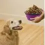 Large Collapsible Dog Bowls, 34oz Portable Foldable Travel Water Bowl Food Dishes with Carabiner Clip for Traveling, Hiking, Walking, 2 Pack ( Purple+Green ) Large Collapsible Dog Bowls, 34oz Portable Foldable Travel Water Bowl Food Dishes with Carabiner Clip for Traveling, Hiking, Walking, 2 Pack ( Purple+Green )