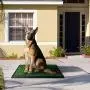 CHIFONG Dog Potty Pet Grass Pad 30'' x 20'' Dog Home Training Toilet Portable Relief System Grass Surface Dog Mat, Bite Resistant Turf Patch, Large Artificial Grass Turf Indoor Outdoor