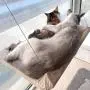 DILOOG Cat Window Hammock Seat,Cat Window Perch,Indoor Cats Safety Bed with Durable Heavy-Duty Suction Cups Can Hold Up to 30lbs for Large Cats DILOOG Cat Window Hammock Seat,Cat Window Perch,Indoor Cats Safety Bed with Durable Heavy-Duty Suction Cups Can Hold Up to 30lbs for Large Cats