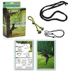 Tumbo Tugger Exercise Dog Toy - (Hanging Bungee Rope tug Toy) ENTERTAINS Your Dogs w/Energetic, Interactive Solo Play tug or war Action