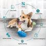 WLHOPE Squeaky Dog Chew Ball Dog Rubber Football Toy for Cast Throwed Training of Medium and Large Dogs Help Dogs Relieve Boredom and Regulate Emotions (Light Blue)