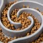 Franklin Pet Supply Slow Feed Tornado Bowl - Pet Bowl - Dog Bowl- Food - Water Bowl - Small - Medium - Large Dog Food Bowl - Puppy - Slow Feed Dog Bowl