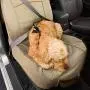 Kurgo CoPilot Bucket Seat Cover for Dogs —Waterproof, Stain Resistant & Machine Washable Kurgo CoPilot Bucket Seat Cover for Dogs —Waterproof, Stain Resistant & Machine Washable