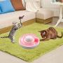 Cat Interactive Toys for Indoor Cats, Automatic Electronic Rotating Butterfly Toy with Roller Tracks Ball, Kitten Exercise Hunting Toy Games for Cats Pet, 2 Butterfly Replacements (Pink)