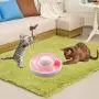 Cat Interactive Toys for Indoor Cats, Automatic Electronic Rotating Butterfly Toy with Roller Tracks Ball, Kitten Exercise Hunting Toy Games for Cats Pet, 2 Butterfly Replacements (Pink) Cat Interactive Toys for Indoor Cats, Automatic Electronic Rotating Butterfly Toy with Roller Tracks Ball, Kitten Exercise Hunting Toy Games for Cats Pet, 2 Butterfly Replacements (Pink)