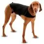 Company of Animals Anxiety Wrap, Black Company of Animals Anxiety Wrap, Black
