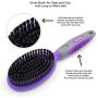 Hertzko Bristle Brush for Dogs and Cats with Long or Short Hair - Dense Bristles Remove Loose Hair, Dander, Dust, and Dirt from Your Pet’s Top Coat