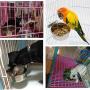Pet Food Water Bowl with Clamp Holder Stainless Steel Coop Cup Hanging Feeder for Dog Bird Parrot Cat Rabbit