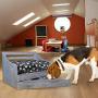 Iconic Pet Sassy Paws Multipurpose Wooden Pet Bed with Feeder for Dogs & Cats