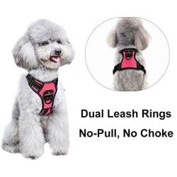 MASBRILL No Pull Dog Harness, No Choke Pet Vest Harness with Front and Back 2 Lead Clips, Adjustable Soft Padded Dog Vest with Easy Control Handle