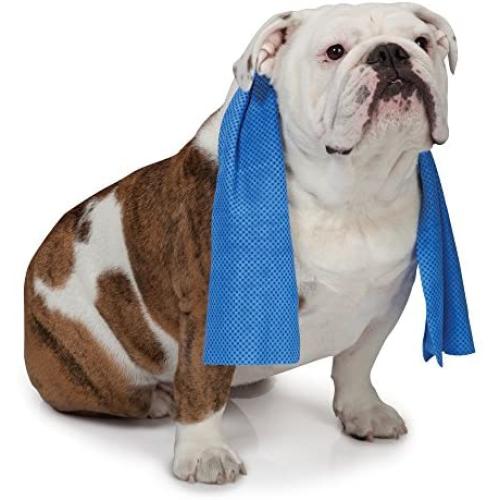 Cool Pup Dog Cooling Pet Towel