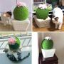 BeiXiaoFen Funny Cactus with Flower Cat Scratching Board pet Scratch Post Cat Interactive Toys