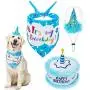 EXPAWLORER Dog Birthday Bandana Set - Cute Hat and Squeaky Cake Toy for Birthday Party Supplies Gift - Great for Small Medium Large Dogs EXPAWLORER Dog Birthday Bandana Set - Cute Hat and Squeaky Cake Toy for Birthday Party Supplies Gift - Great for Small Medium Large Dogs