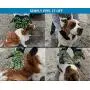 Bikien Pet Grooming Glove Hair Removal with Adjustable Wrist Strap for Cats Dogs Horse, 330 Silicone Tips Attached Efficient Hair Removal Mitts - 1 Pair Bikien Pet Grooming Glove Hair Removal with Adjustable Wrist Strap for Cats Dogs Horse, 330 Silicone Tips Attached Efficient Hair Removal Mitts - 1 Pair