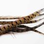 ocijf179 Cat Teaser Pet Cat Kitten Teaser Bell Feather Rod Interactive Stick Game Funny Play Toy - Random Color