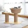 Small Cat Tree, Cat Tower, Sisal Scratching Post, Pet Activity Center, with Platform and Sleep Basket, Sturdy Wooden Base Board Small Cat Tree, Cat Tower, Sisal Scratching Post, Pet Activity Center, with Platform and Sleep Basket, Sturdy Wooden Base Board