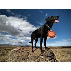 Ruff Products BarkBowl (Burnt Orange, 800ml) - Collapsible Dog Bowl