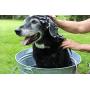 Jackie Doodles Pet Shampoo - Easily Removes Odors, Dirt & Itchy Dander - Awesome Results Guaranteed