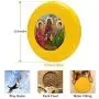 Pet Frisbee Flying Disc Dog Toy - Multifunction The Trinity Kelly Latimore Pet Frisbee Flying Disc Dog Toy - Multifunction The Trinity Kelly Latimore