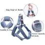 ARING PET Dog Halter Harness, Velvet Dog Harness, No Pull Dog Halter Harness, Adjustable Heavy Duty Dog Harness for Small Medium Large Dogs ARING PET Dog Halter Harness, Velvet Dog Harness, No Pull Dog Halter Harness, Adjustable Heavy Duty Dog Harness for Small Medium Large Dogs