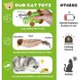 Catnip Cat Toys for Indoor Cats, 12 Pack Interactive Cat Toy with Crinkle, Squeaky, Rattle Sound, Kitten Stuffed Animal Cat Toy Set Assorted Plush Pet Toys, Cat Chew Toy for Chewing, Hunting, Teething