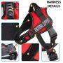 Just 4 Paws Emotional Support Dog Harness Jacket with Padded Handle | 7 Sizes | 2 Colors | Adjustable Straps & 2 Removable Reflective Patches