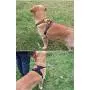 IMIFUN No Pull Dog Harness,Adjustable Pet Reflective Oxford Soft Vest for Small Medium Large Dog Easy Control Harness (Black, L,Chest 21.6-29.5‘’) IMIFUN No Pull Dog Harness,Adjustable Pet Reflective Oxford Soft Vest for Small Medium Large Dog Easy Control Harness (Black, L,Chest 21.6-29.5‘’)