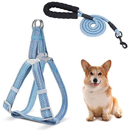 Dog Leash Harness Set, Durable Adjustable Heavy Duty Dog Harness,Soft Padded Handle Pet Leash for Dogs,Perfect for Dog Daily Training Walking Running Blue