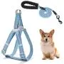 Dog Leash Harness Set, Durable Adjustable Heavy Duty Dog Harness,Soft Padded Handle Pet Leash for Dogs,Perfect for Dog Daily Training Walking Running Blue Dog Leash Harness Set, Durable Adjustable Heavy Duty Dog Harness,Soft Padded Handle Pet Leash for Dogs,Perfect for Dog Daily Training Walking Running Blue