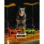 Unleashed Life Dog Bowl - Feeder for Dog, Cat, Pet Food & Water