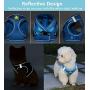 Grneric Cat Harness and Leash Set for Escape Proof Walking, Best for Kitten Cats and Puppy Dogs