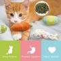 CiyvoLyeen Easter Spring Cat Catnip Kitten Chew Bite Toys Interactive Pillows Teeth Plush Plaything for Cat Gift Cat Lover Funny Pets Supplies Set of 6