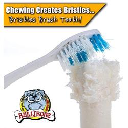 Bullibone Brusher: Dog Teeth Cleaning Brushing Toothbrush Stick - Long Lasting Nylon Peppermint Chew Toy for Dog Oral Care and Dental Health for Small Dogs and Puppies