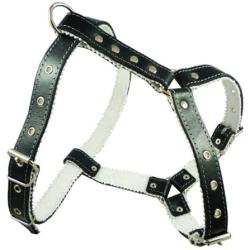 Genuine Leather Dog Harness Padded, Fits 17'' - 21'' Chest, Poodle, Boston Terrier