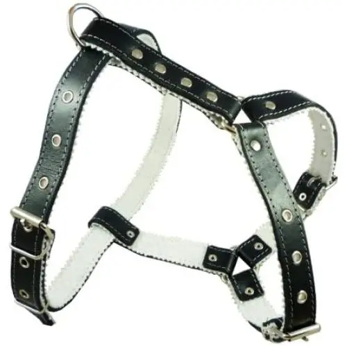 Genuine Leather Dog Harness Padded, Fits 17'' - 21'' Chest, Poodle, Boston Terrier Genuine Leather Dog Harness Padded, Fits 17'' - 21'' Chest, Poodle, Boston Terrier
