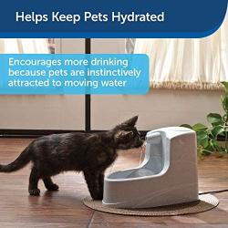 PetSafe Drinkwell Mini Pet Fountain for Cats and Small Dogs, 40 oz Capacity Water Dispenser with Filter Included, PWW00-14402